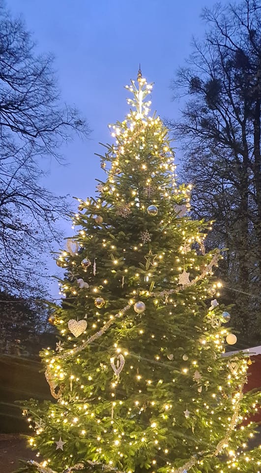 Weihnachtsbaum